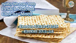 Pesach Shabbat Chol Ha Moed - Haftarah Portion