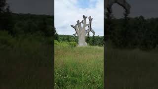 Screaming Heads of Midlothian.