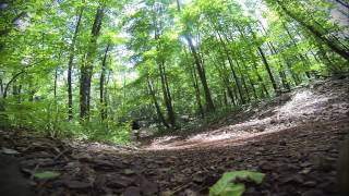 Airborne Toxin DH Speed run # 2 GoPro 3 Black