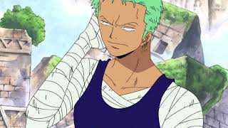 One Piece Funny Moments   Zoro Moment