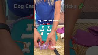 🧩 Tips & Tricks 🐕 How to make Dog Casino easier and more challenging @Nina_Ottosson