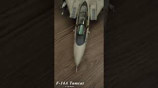 New Hobbie, F-14 Italeri 1/48