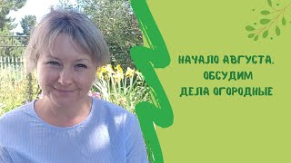 Начало августа. Обсудим дела огородные