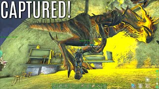 I GOT CAGED! and More - Solo MTS PVP (E10) - ARK Survival