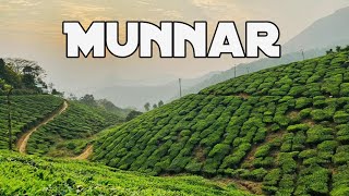 Munnar - Hill Station in Kerala | Kerala Tourism, India