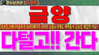 [금양주가전망] LG엔솔 4695베터리 리비안 납품소식에도 금요장 외인/기관/투신들이 매수에 나선이유!! 글로벌 완성차 리비안만 있는게 아닙니다. 必시청하시고 대응하세요!! #금양