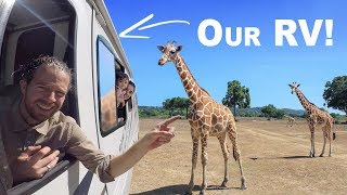 Driving Our RV Through A Safari!