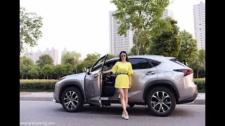 Выездная диагностика  Lexus NX300 2 0 AT 238 л с  Год выпуска   2017