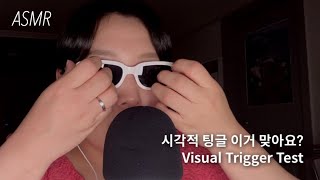 ASMR | 이거 시각적 팅글 맞는지 봐줄 고인물 찾습니다 :: Visual trigger test