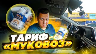 МУКОВОЖУ ВСЕ ТАРИФЫ // ВЫКАТАТЬ БОНУС ЛЮБОЙ ЦЕНОЙ // ЧТО ИЗ ЭТОГО ВЫШЛО?