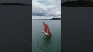 Falmouth Classics. Stunning yachts; so great to see - even better to sail! #shorts