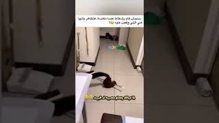 والنعمه مانا دي اختشي منى 😂