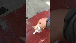 Tamu misterius oyen pagi pagi sudah datang