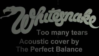 Whitesnake - Too many tears (acoustic cover by The Perfect Balance)