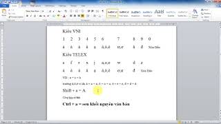 Hướng Dẫn Gõ Tiếng Việt Kiểu VNI Và Telex