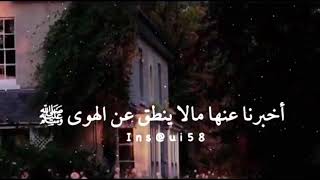 اربع كلامات يحبها رب السموات والارض 👍💕كلام جميل