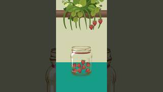 Collect the Strawberries - Make it Perfect 2 #satisfying #collect #puzzle #jar #pick #snack