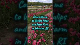 Wicked Tulips & Pezza Farm #spring #animals #roadtrip #lifestyle #fun #thingstodo