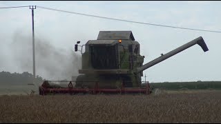 Żniwa 2018 Claas Dominator 208 &|Ursus c360 na 2 kołach?|