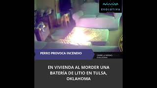 PERRO PROVOCA INCENDIO EN VIVIENDA AL MORDER UNA BATERÍA DE LITIO EN TULSA, OKLAHOMA