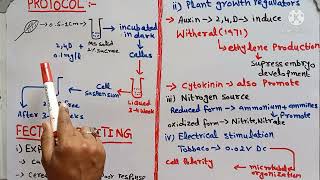 Somatic embryogenesis ||stages of somatic embryogenesis || fectors effecting somatic embryogenesis