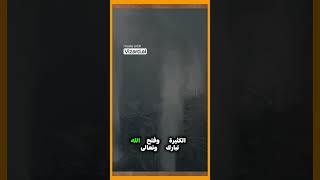 سيدنا نوح والطوفان العظيم ✨🌊 الشيخ نواف السالم 🎙️ #قصص_الانبياء  #قصص #نواف_السالم #shorts