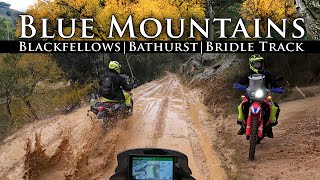 Explore The Blue Mountains | Blackfellows | Bathurst | The Bridle Track | CRF300 Rally