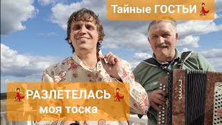 💥РАЗЛЕТЕЛАСЬ💥 по полю-полюшку, УЛЕТЕЛА моя тоска🥳