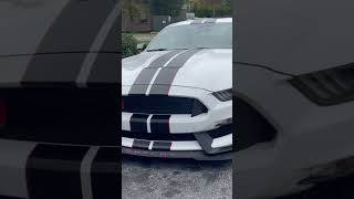 #fastcars #lukecombs #fastcar #americanmuscle #shelby #gt350 #mustang