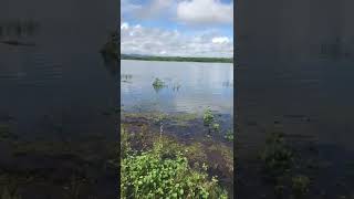 VÍDEO: Barragem de Pau dos Ferros recebe bastante água e expectativa por sangria cresce