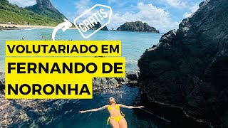 Viajei para Fernando de Noronha pagando ZERO REAIS na hospedagem | Dicas de VOLUNTARIADO