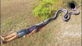 Primitive technology - Easy Snake Trap Using Plant Catch Big Snake in Hole #snaketrap