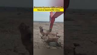 Excavator Operator Rescues #camel Stuck in #sand in NW China #animal #china #fyp #fypシ #xinjiang