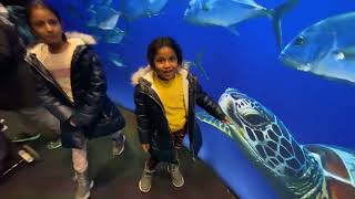 Ripley’s Aquarium Toronto #ripleysaquarium #rafisviews @rafisviews