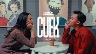 Rizky Febian - Cuek ( musik , lirik )