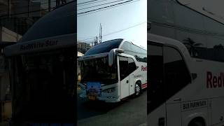 BUS PARIWISATA REDWHITE STAR,REZEKI GEMILANG & SUMBER JAYA #feedshorts#basuri,