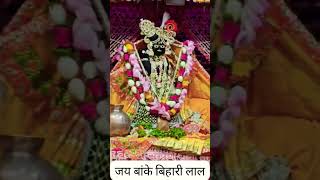 बोल वृंदावन बिहारी लाल की #जय #हो #trending #bankebihari #vrindavan #faith #bhakti #yutubeshorts #up