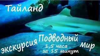 Подводный МИР Тайланда _ 1,5 часовая экскурсия за 15 мин