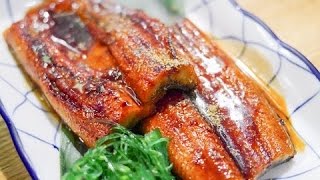 BEGIN Japanology - Unagi Eel