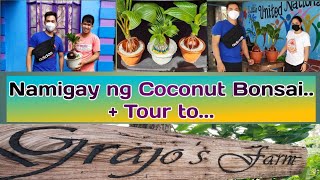 Coconut Bonsai Give Away plus Grajo's Farm Tour🌴🌻🌹🌷🏕️😊