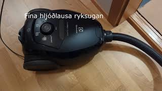 2023 Reyksuga frá Ormson