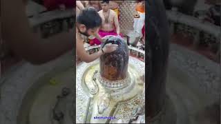 जय महाकाल 🙏🙏🙏#shorts #youtubeshorts #viral #viralshorts #harharmahadev #jaimahakaal #shiva