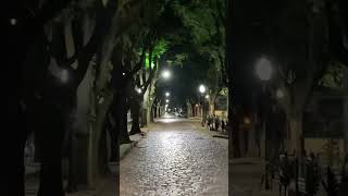 Araraquara e sua rua famosa