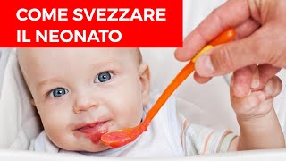 Come Svezzare il neonato - Autosvezzamento e Alimentazione Complementare