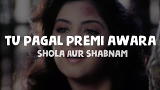 Shola Aur Shabnam - Tu Pagal Premi Awara (Lyrics) | Polo Music