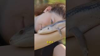 9. Blue-tongued Skink | Strange animals series| #shorts #animals #biology #science