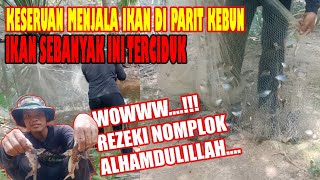 EXPEDISI MENJALA DI PARIT KEBUN_PANEN IKAN TANPA DI PELIHARA TIDAK DI SANGKA BEGINI HASILNYA WOW..!!