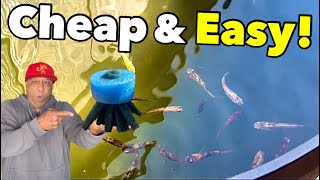 Cheap & Easy way to make Breeding Mops for Fish *Medaka