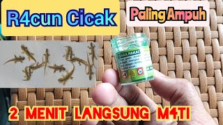 Solusi Basmi Cicak || R4cun Ampuh dalam 2 Menit Cicak M4ti. #R4cunCicakPalingBagus