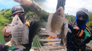 🚨PESCA RECORD🚨 MI AMIGO ATRAPA TILAPIAS GRANDES